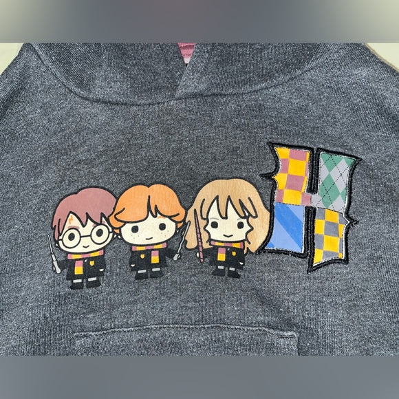 Harry Potter Gryffindor Hoodie size 2T - Picture 2 of 7